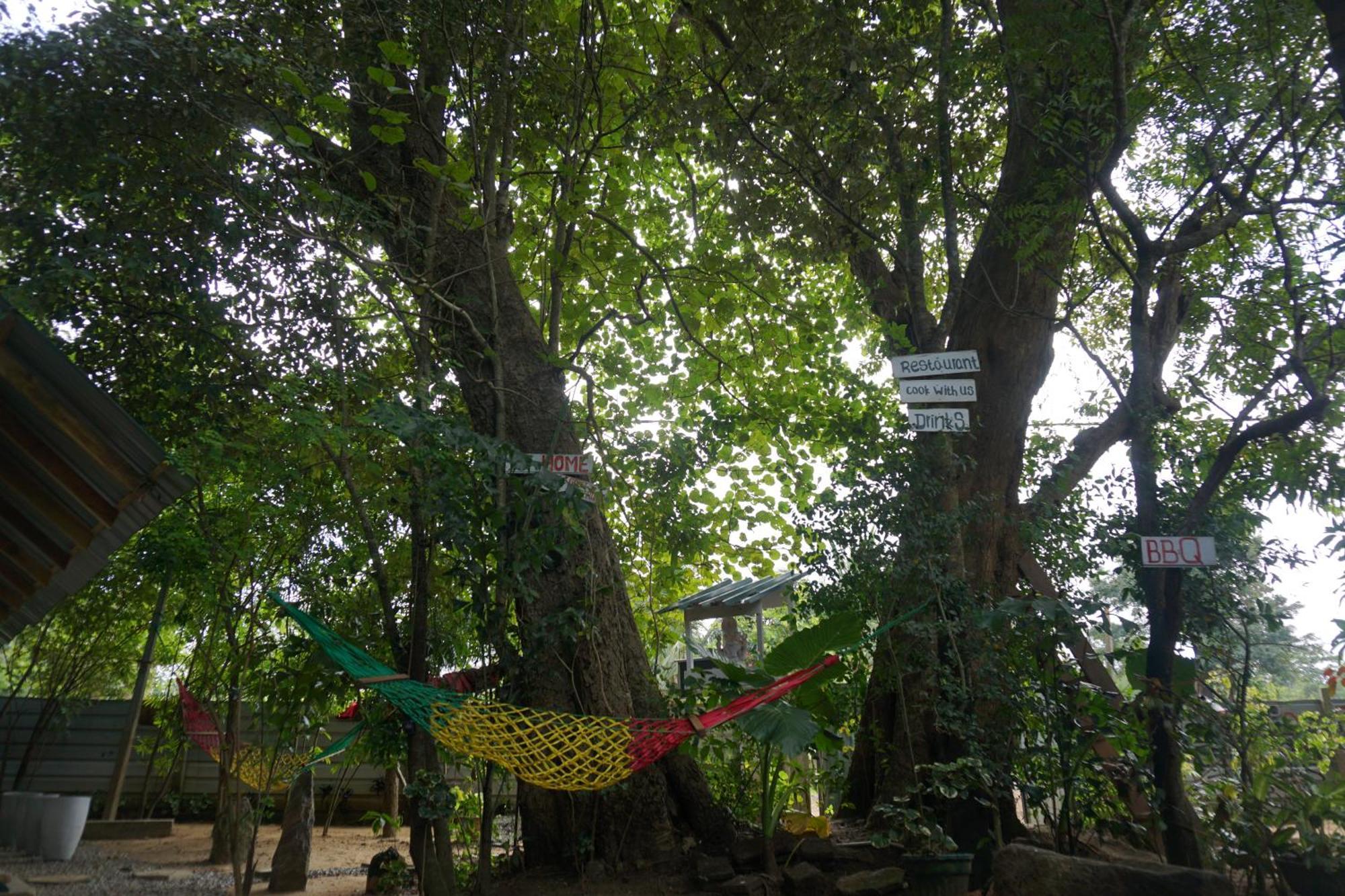 Another World Hostel *